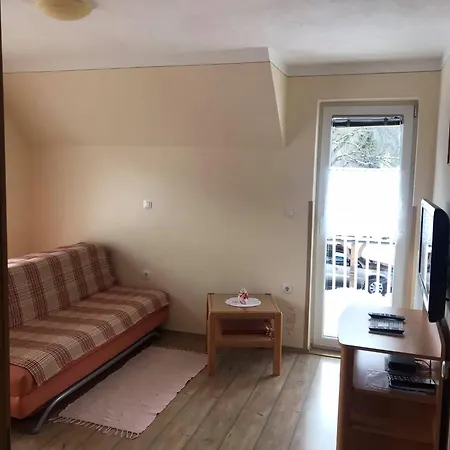 Apartmaji Misotic